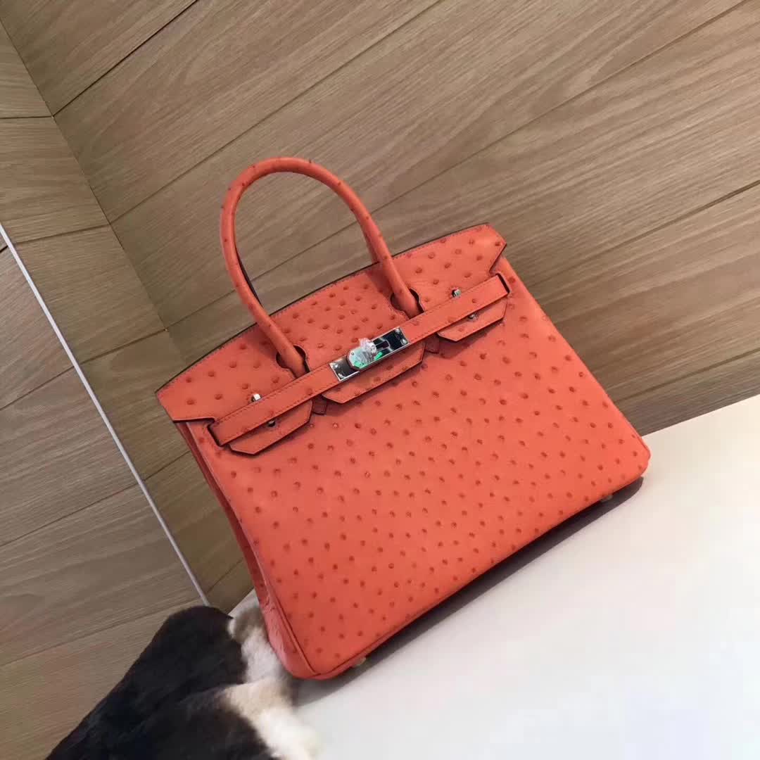 Hermes Birkin Bags